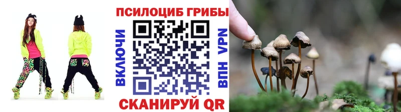 Галлюциногенные грибы Psilocybe Горячий Ключ