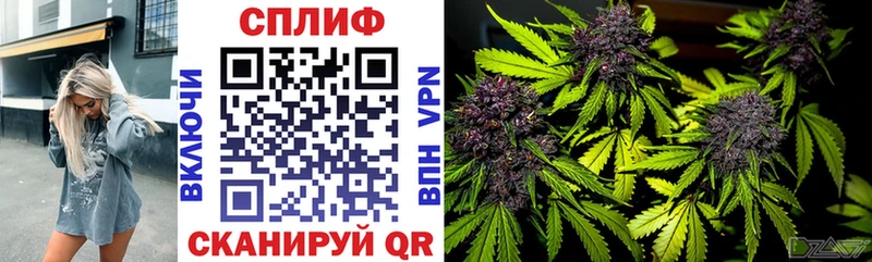 хочу   Горячий Ключ  Канабис сатива 